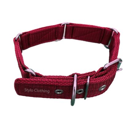 Top Exclusive Nylon Dog Collar Neckband with 4 Steel Buckles
