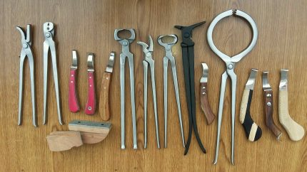 Complete Farrier Tools Kit 18 Pieces Stainless Steel in Bulk