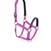 Best Nylon Halters for Horse with Soft Neoprene in 6 Colors