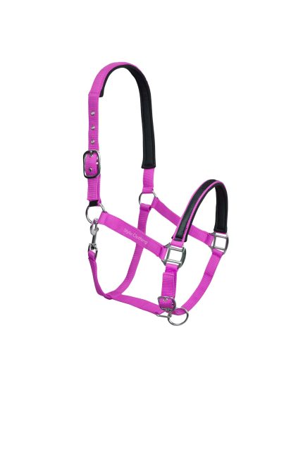 Best Nylon Halters for Horse with Soft Neoprene in 6 Colors
