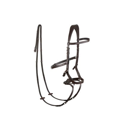 Horse Riding Bridle - Wholesale adjustable horse bridles with sleek design, crafted for English-style equestrian activities, ideal for bulk purchases and customization.