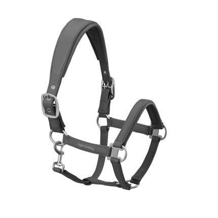 Leather Head Collar Horse Halters Best Selling 2 Colors