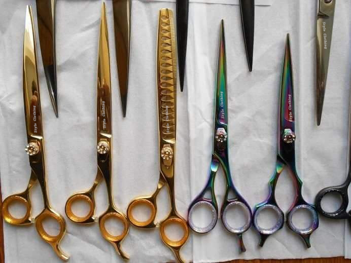 Best Stainless Steel Pet Grooming Scissors - 20+ Styles
