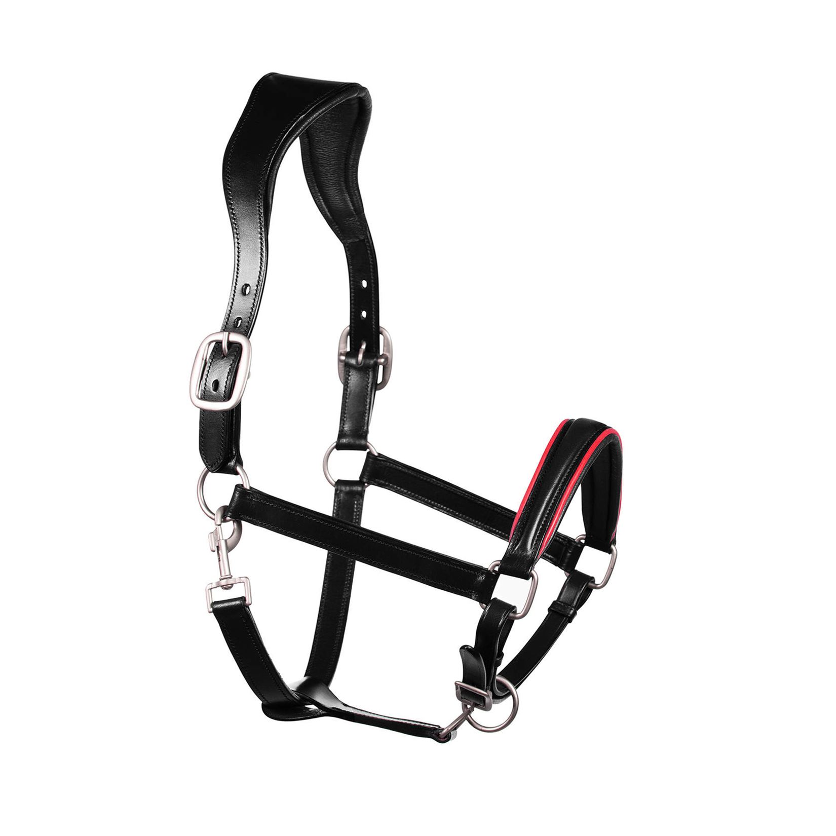 Super Cool Leather Halter Ideal for Horse Equestrian Events Leather Halters | Super Cool Best Halter for Horse 1 Design