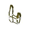Nylon Halter for Horse with Comfortable Fleece - 20+ Designs