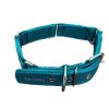 Best Selling Adjustable Nylon Dog Collar in Wholesale - Stylo Clothing