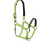 Top Selling Nylon Halters for Horse with Soft Neoprene - Stylo Clothing Wholesale