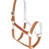 Faux fur-lined adjustable horse halters crafted from neoprene, providing comfort and durability, perfect for bulk purchases from Stylo Clothing.