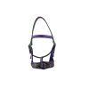Best Adjustable Horse Show Halters in Wholesale - 10+ Design