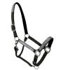 Astonishing Horse Show Halter Loaded with Crystals by Stylo Clothing Astonishing Horse Show Halter Loaded with Crystals in 5 Colors