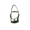Stylish horse show halters by Stylo Clothing, designed for comfort and performance, perfect for bulk equestrian orders.