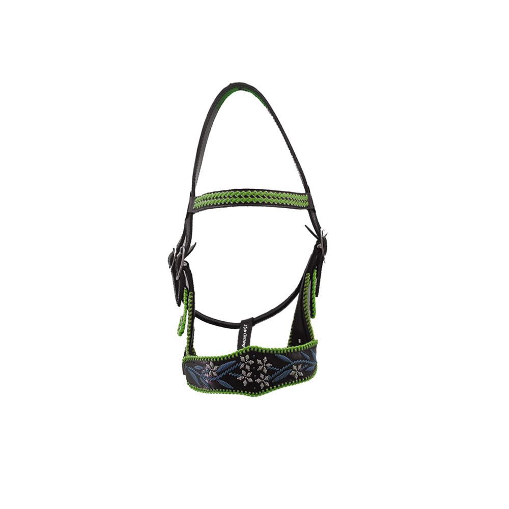Stylish horse show halters by Stylo Clothing, designed for comfort and performance, perfect for bulk equestrian orders.