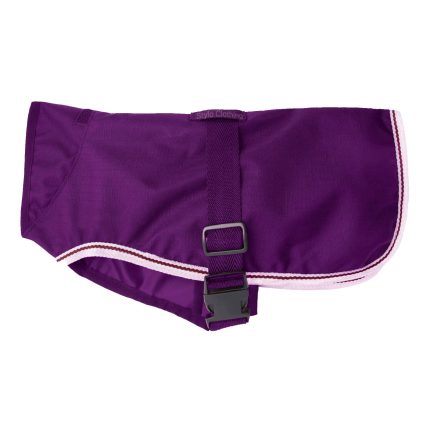 Double Dog Rugs |20+ High Quality Customized Double Dog Bed