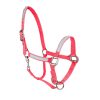 Best Selling Reflective Horse Halter Top 5 Astonishing Color