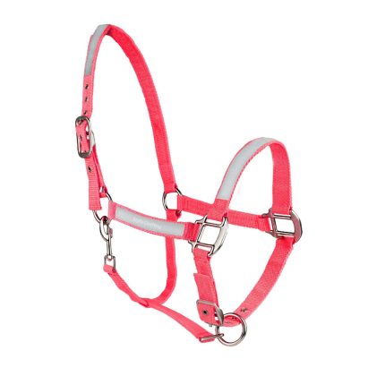 Best Selling Reflective Horse Halter Top 5 Astonishing Color