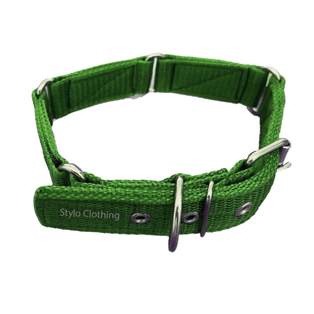High Performance Dog Collar Adjustable Neckband with Sturdy Design - Stylo Clothing