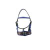 Premium wholesale horse show halters with exquisite detailing, perfect for adding sophistication to horse tack.