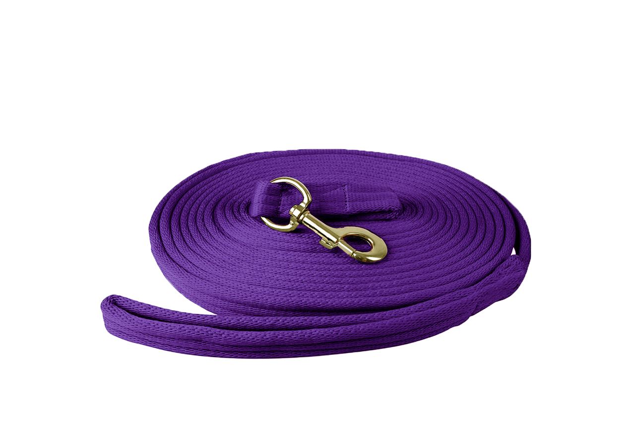 Adjustable Polyester Lunging Line with Snap Hook