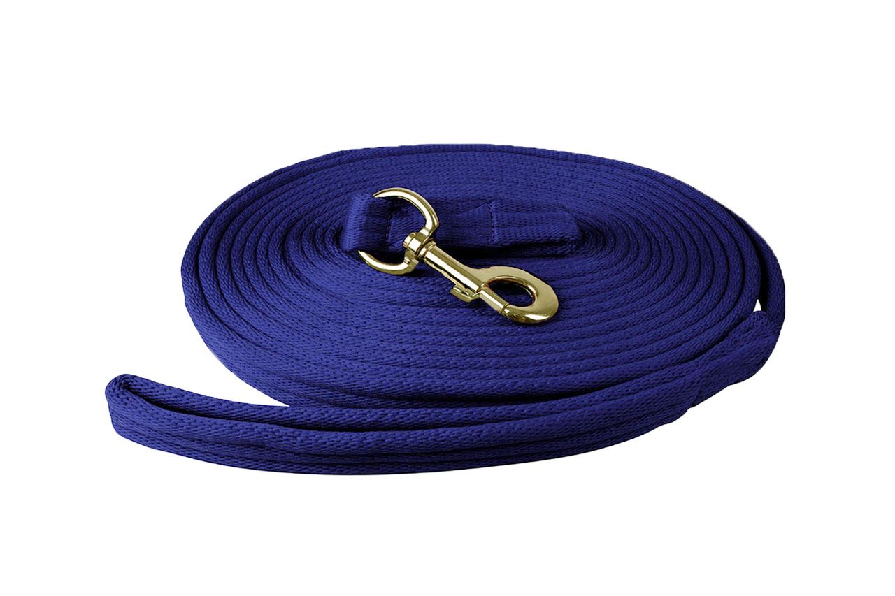Reflective Lunging Line for Enhanced Visibility