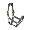 Premium leather padded horse halter, customizable and ideal for equestrian use, available at factory prices from Stylo Clothing