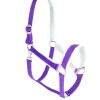 Premium neoprene horse halters with soft faux fur and adjustable fit, ideal for wholesale buyers from Stylo Clothing.
