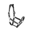 Comfortable and sturdy leather padded horse halter, wholesale horse tack by Stylo Clothing for bulk purchases