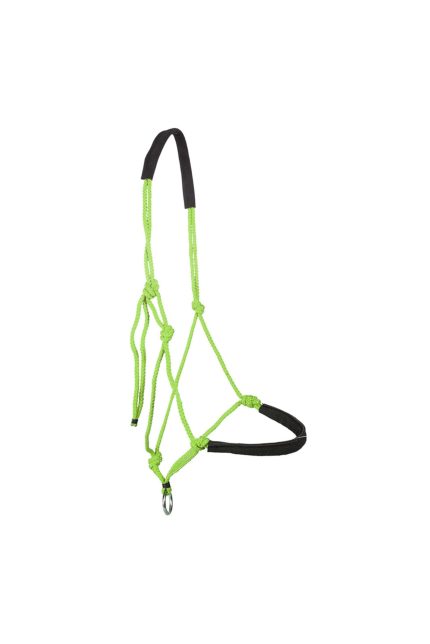 Best Professional Rope Halters for Trainings - 10+ Designs