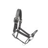 Top Selling Custom Made Adjustable Horse Halter in Wholesale Best Selling Custom Made Adjustable Horse Halter in Exciting Leather