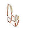 Elegant horse halter crafted with durable materials and sparkling crystals, tailored for wholesale equestrian suppliers.