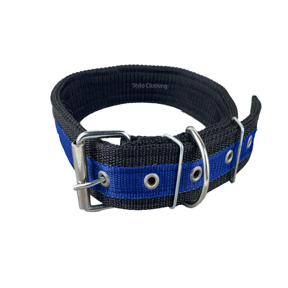 Top-selling nylon pet collar with double straps and steel buckle, designed for durability and comfort.