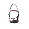 Elegant horse show halters designed with luxury materials, available in wholesale for high-end equestrian events.