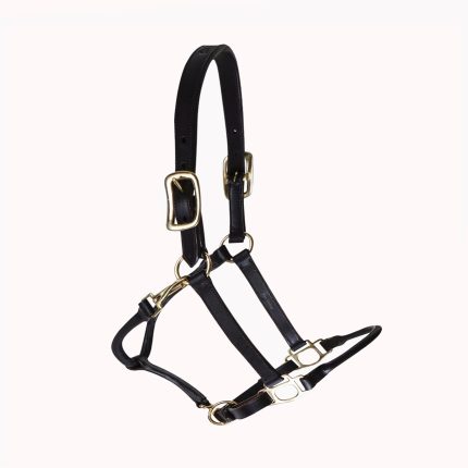 Best Horse Leather Halter Rolled with Brass in 10+ Colors