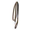 10+ Nylon Dog Lead with Sturdy Gold Buckle | Nylon Dog Leash