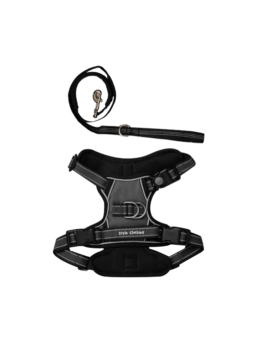 Breathable mesh dog harness and lead with reflective features and lock clips, perfect for outdoor adventures