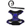 Reflective stitching on mesh dog harness and lead set, with strong lock clips for secure walks at night - Dog Harness and Lead