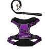 Comfortable and secure mesh dog harness and lead with lock clips, paired with reflective lead for added safety