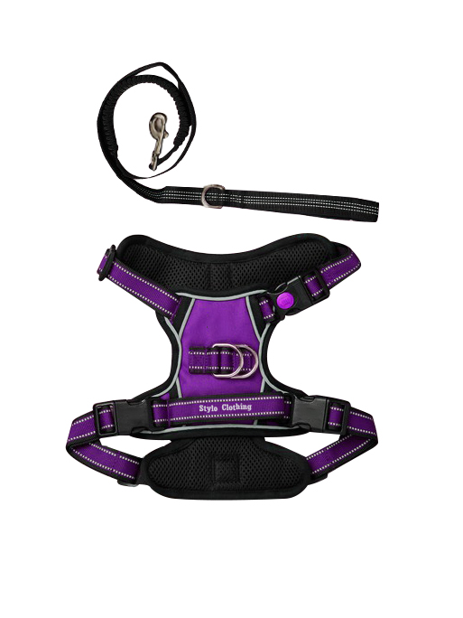 Comfortable and secure mesh dog harness and lead with lock clips, paired with reflective lead for added safety