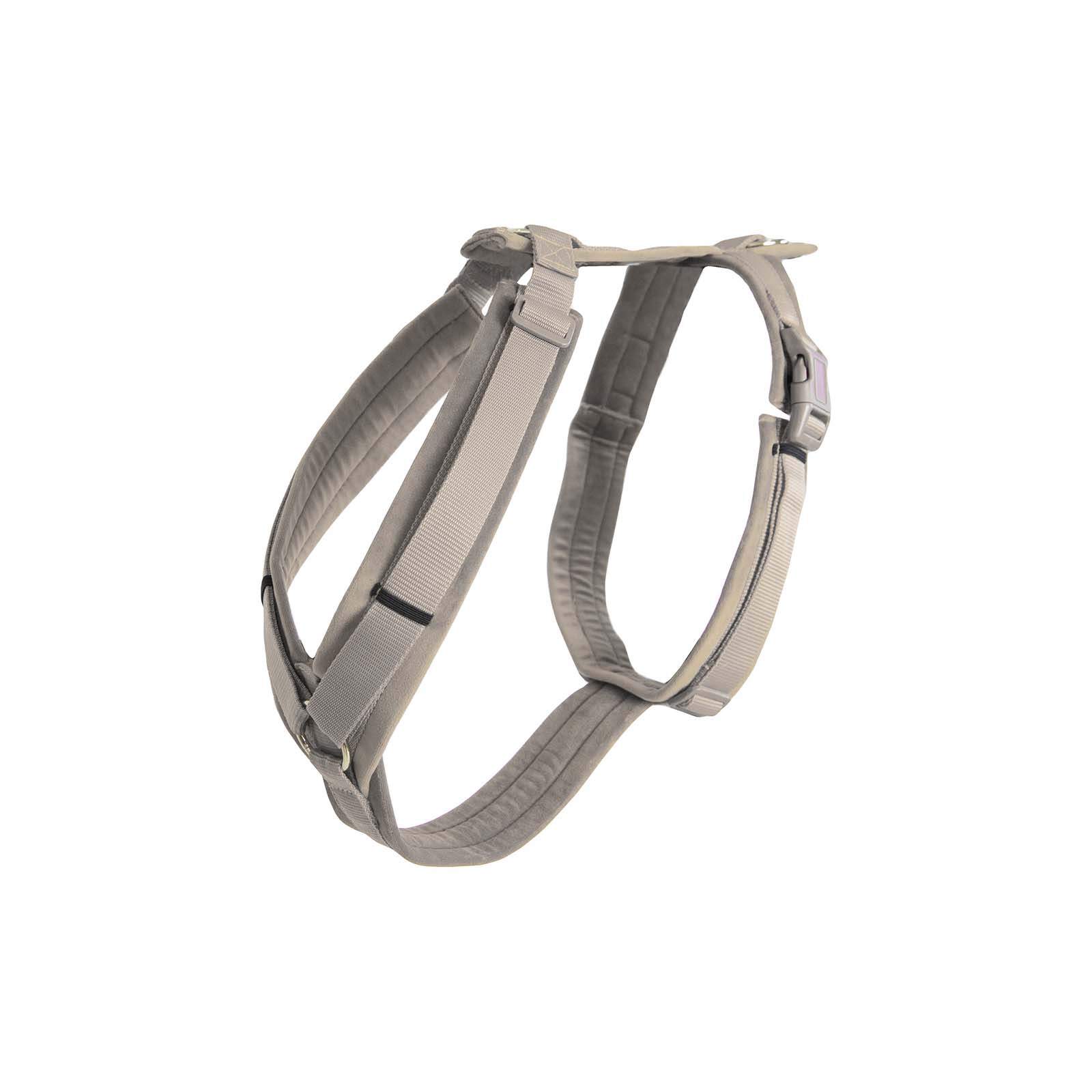 Elegant velvet dog harness with a strong nylon core, designed for a comfortable and secure fit