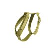 Luxurious velvet dog harness with a durable nylon base, offering comfort and strength for everyday wear
