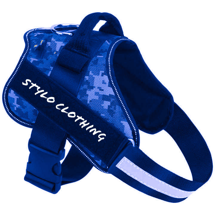 A happy dog wearing a comfortable dog harness for outdoor walks, offering a snug fit and support
