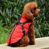 A medium-sized dog in a soft dog coat, perfect for keeping pets comfortable during cold weather