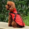 Close-up of a soft dog coat made from premium materials, offering a snug fit for your pet