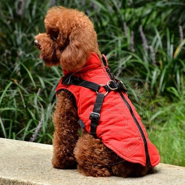 Close-up of a soft dog coat made from premium materials, offering a snug fit for your pet