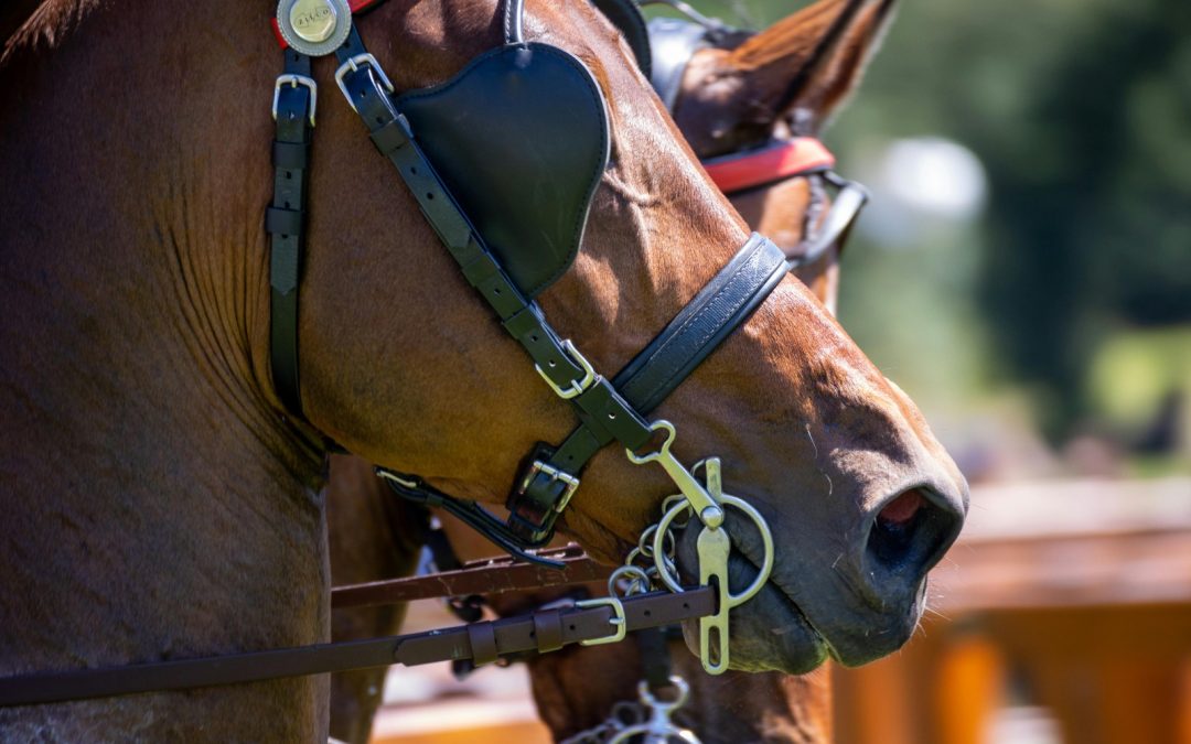 Mullen Mouth Bits Custom Made Horse Bits