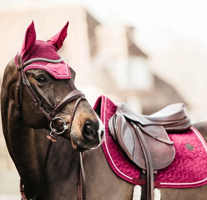 Best Horse Matching Sets - Banner Horse Clothing