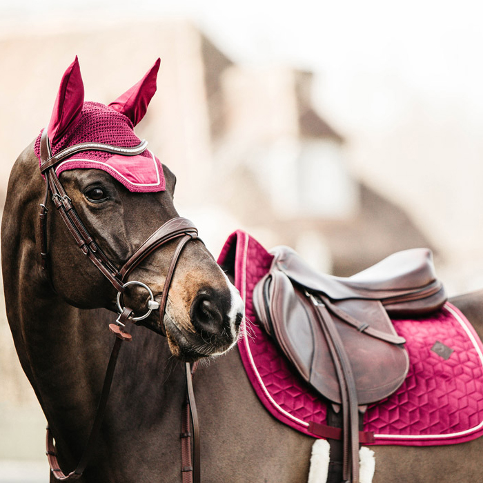 Horse Matching Sets - Banner