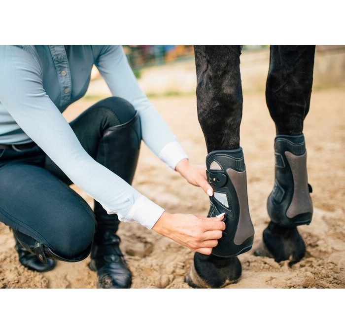 Best Selling Horse Tendon Boots 2024